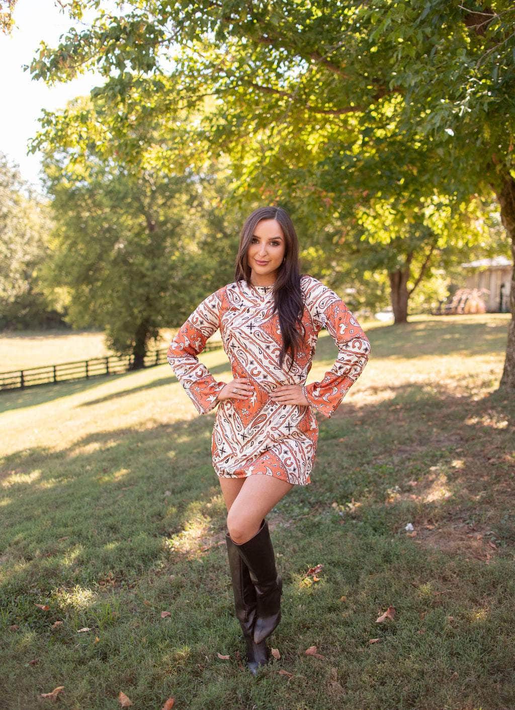 Prairie Rose Paisley Mini Dress - Image 4