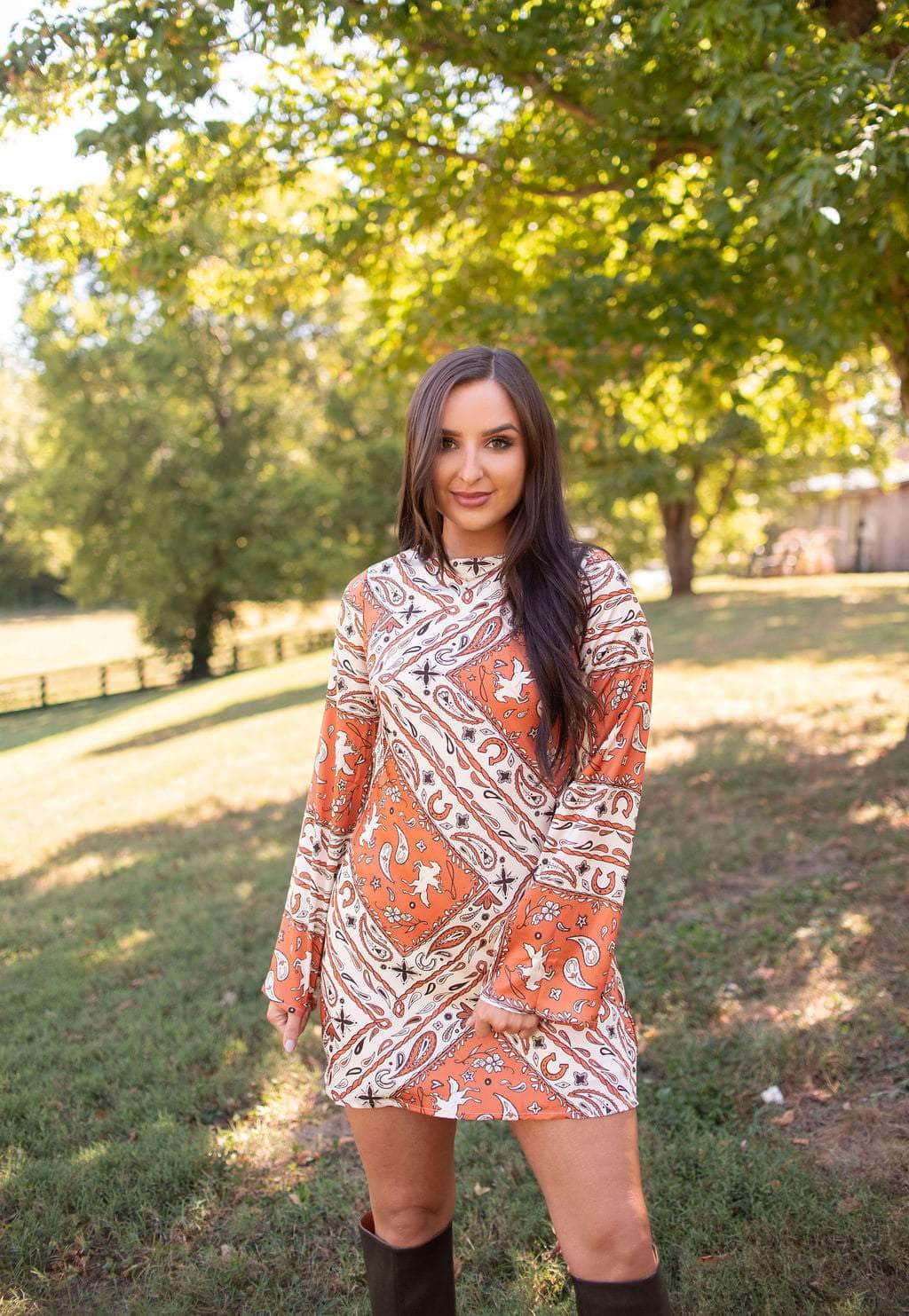 Prairie Rose Paisley Mini Dress - Image 5