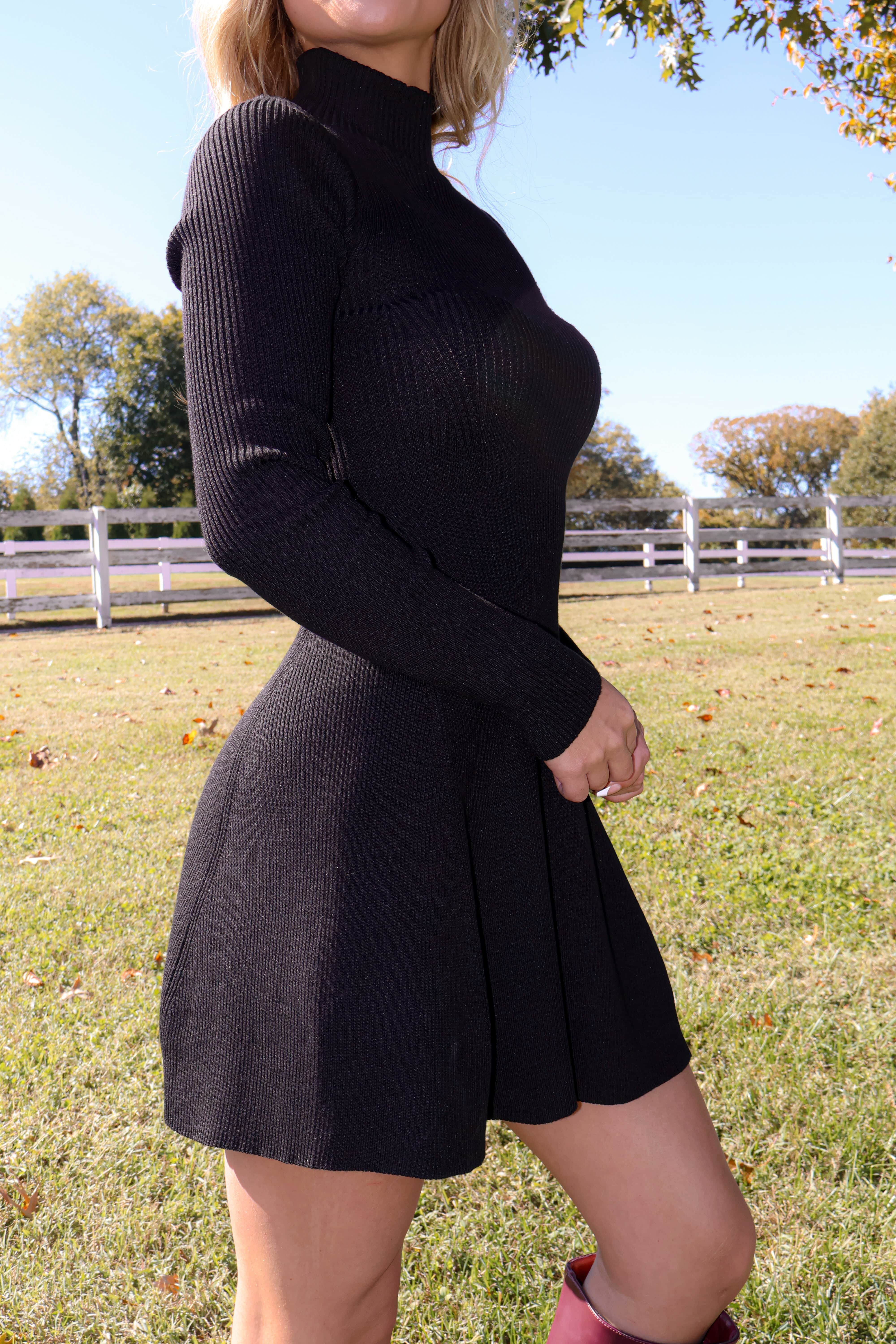 Toasting The Season Dress - Image 3